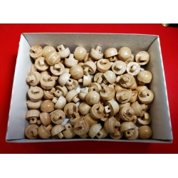 Guzik drewniany perełka duża